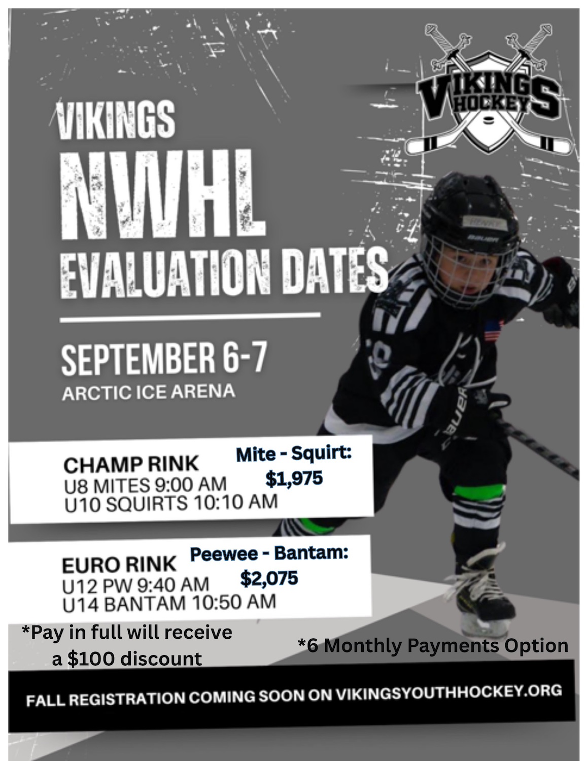 Vikings NWHL | House Hockey League | Arctic Ice Arena located in Orland ...